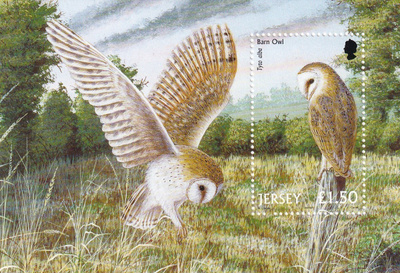 Jersey ** £1.50 Barn Owl 2001