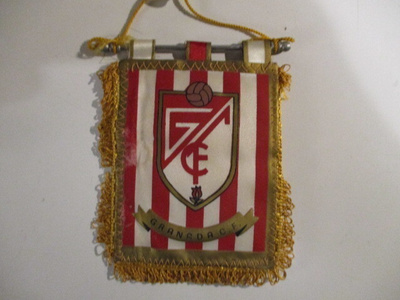 VIIRI GRANADA C.F.