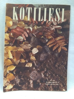 Kotiliesi No 21 marraskuu 1960