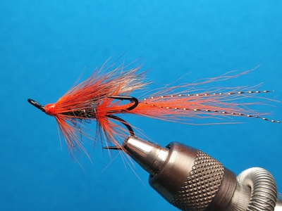 Lohiperho Ally`s Shrimp ( muunnos ) # 4 tre