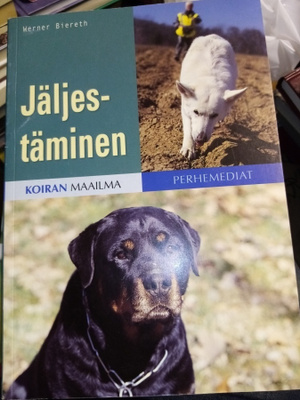 Werner Biereth : JÄLJESTÄMINEN ( SIS POSTIKULU  )