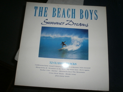 The beach boys