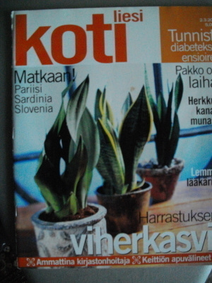 Kotiliesi Nro 5/2004 (9.11)