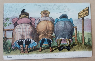 Leidit katselemassa, 'Erityisen kaunis näkymä', 1908 Suomeen