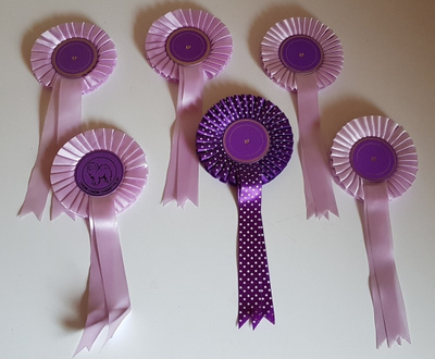 RUUSUKkEET , VIOLETIT  6 KPL