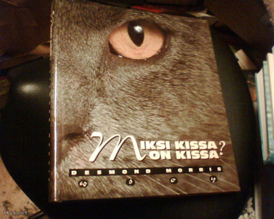 Desmond Morris MIKSI KISSA ON KISSA (1 p. 1995) Sis.pk:t