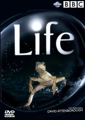 LIFE (BBC EARTH, 4 DVD)	(32 545)	-FI-	DVD	(4)		4 dvd=9h 49mi