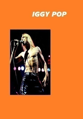 IGGY POP --- valokuva  21cm x 30cm  #1