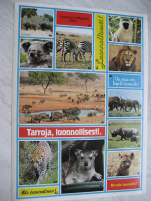 WWF ELÄIN TARRAT (16 tarraa arkissa)