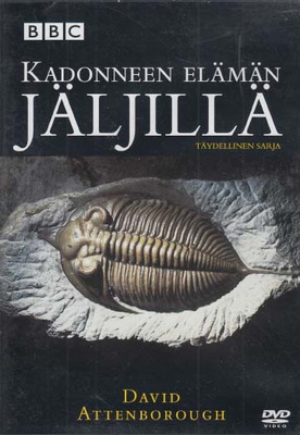 Kadonneen elämän jäljillä