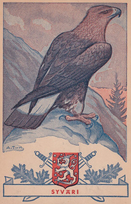 A.TILGMANN SYVÄRI KULKEMATON