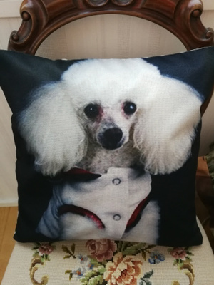Villakoira tyynynpäällinen