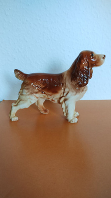Cocker spaniel Koira - Figuuri