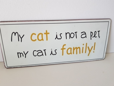 Peltikyltti - peltinen Ovikyltti - My cat is not a pet .....