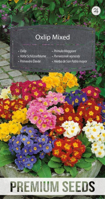 Lehtoesikko "Oxlip Mixed" - siemenet #