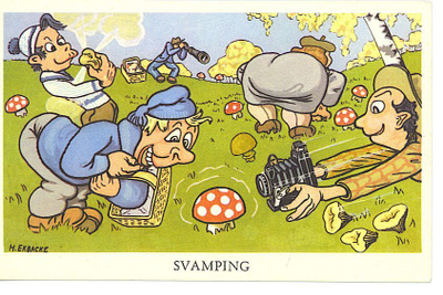 H. EKBACKE : Svamping. Sienien keruu