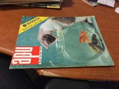 APU-LEHTI 38/1960 HYVÄ