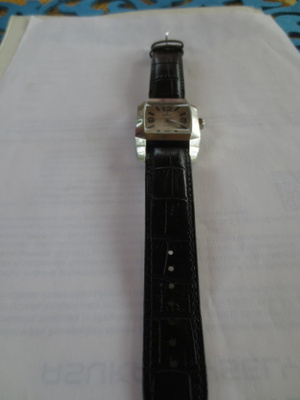 Miesten Rannekello Festina, Quartz