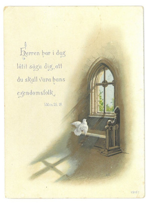 Kyyhkynen ikkunalla kortti vuodelta 1892