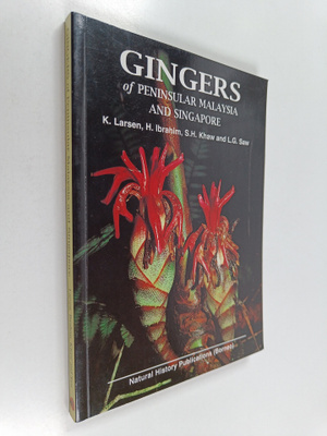 Kai Larsen : Gingers of Peninsular Malaysia and Singapore