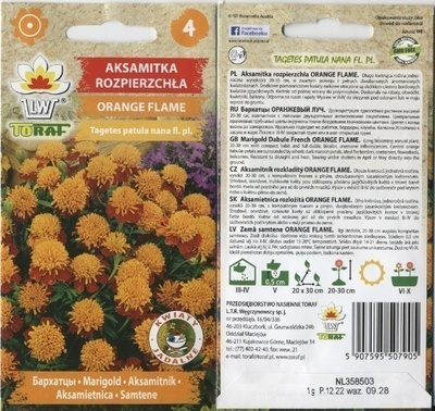 Ryhmäsamettikukka "Orange Flame" - siemenet #