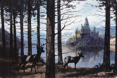 Harry Potter Kauriit