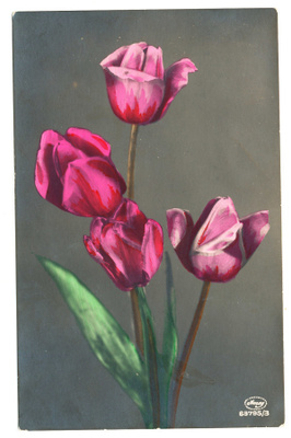 TULPPAANEJA - 1934