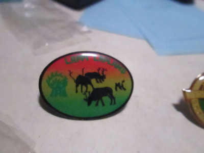pinssi