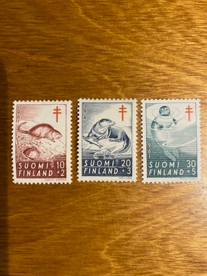 TUB SARJA 1961**