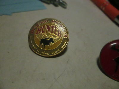 pinssi