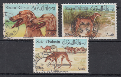 KOIRA aihetta BAHRAIN