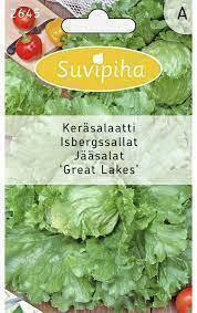 Keräsalaatti  "Great lakes" siemenet #