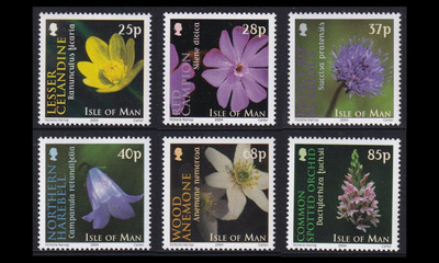 Mansaari 1126-31 ** Kukkia (2004)
