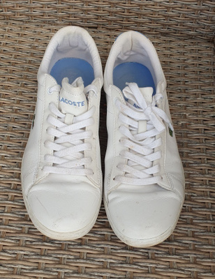 Lacoste, miesten kengät, 41koko