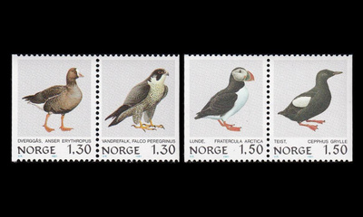 Norja 827-30 ** Lintuja (1981)