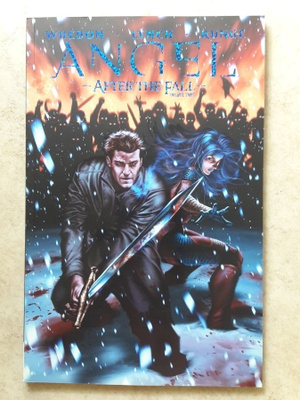 Angel - After The Fall, volume 3