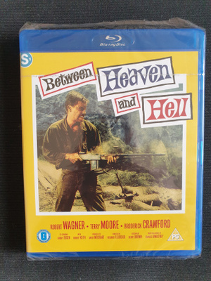 Between Heaven and Hell (1956) (Richard Fleischer)