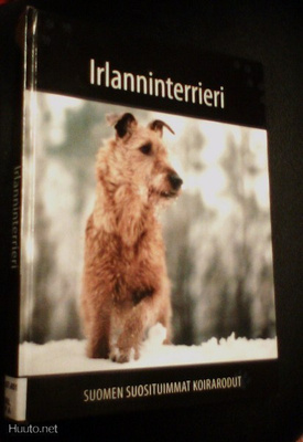 IRLANNINTERRIERI (Suomen suosituimmat koirarodut) Sis.pk:t