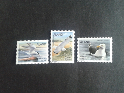 åland 2000 merilintuja**