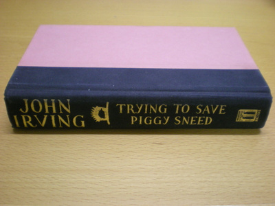 John Irving: Trying to Save Piggy Sneed