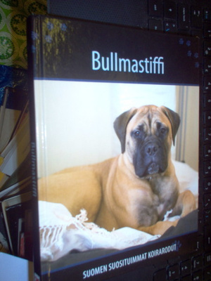 Bullmastiffi - Suomen suosituimmat koirarodut