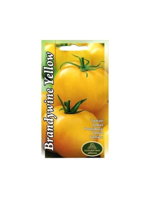 Pihvitomaatti "Brandywine Yellow" siemenet #