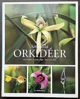 Sensuella orkidéer