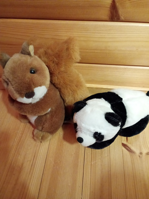 Pehmolelut panda ja orava