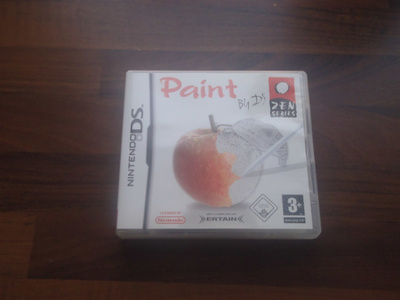 PAINT NINTENDO DS