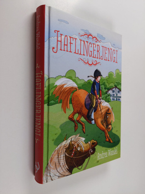 Andrea Wandel : Haflingerjengi