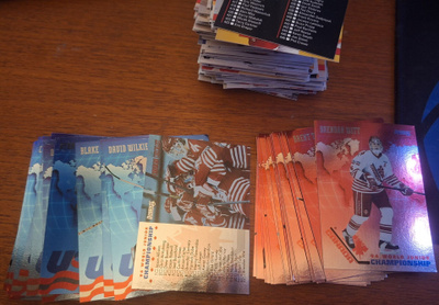 1993-94 Donruss 173Kpl myös erkat