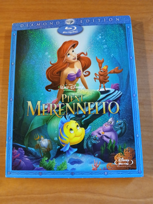 Pieni merenneito