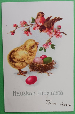 Munia pesässä, tipu ihmettelee lintuja, p. 1928