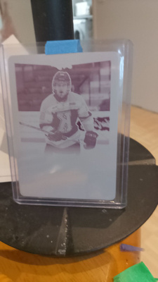 Leaf press plate 1/1 lammikko ässät